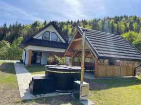 Soskówka przy szlaku na Lubań, Ochotnica Dolna